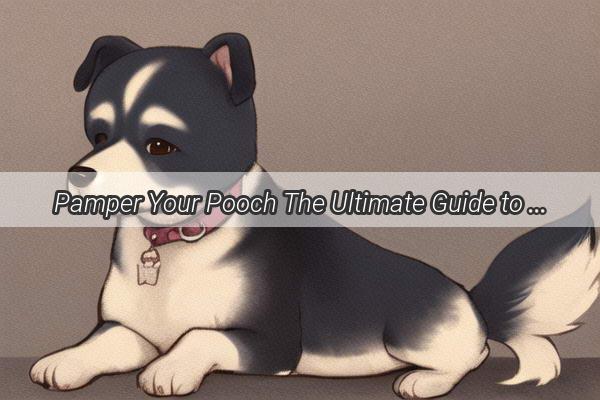 Pamper Your Pooch The Ultimate Guide to Using a Mini Dog Blow Dryer for Flawless Coats